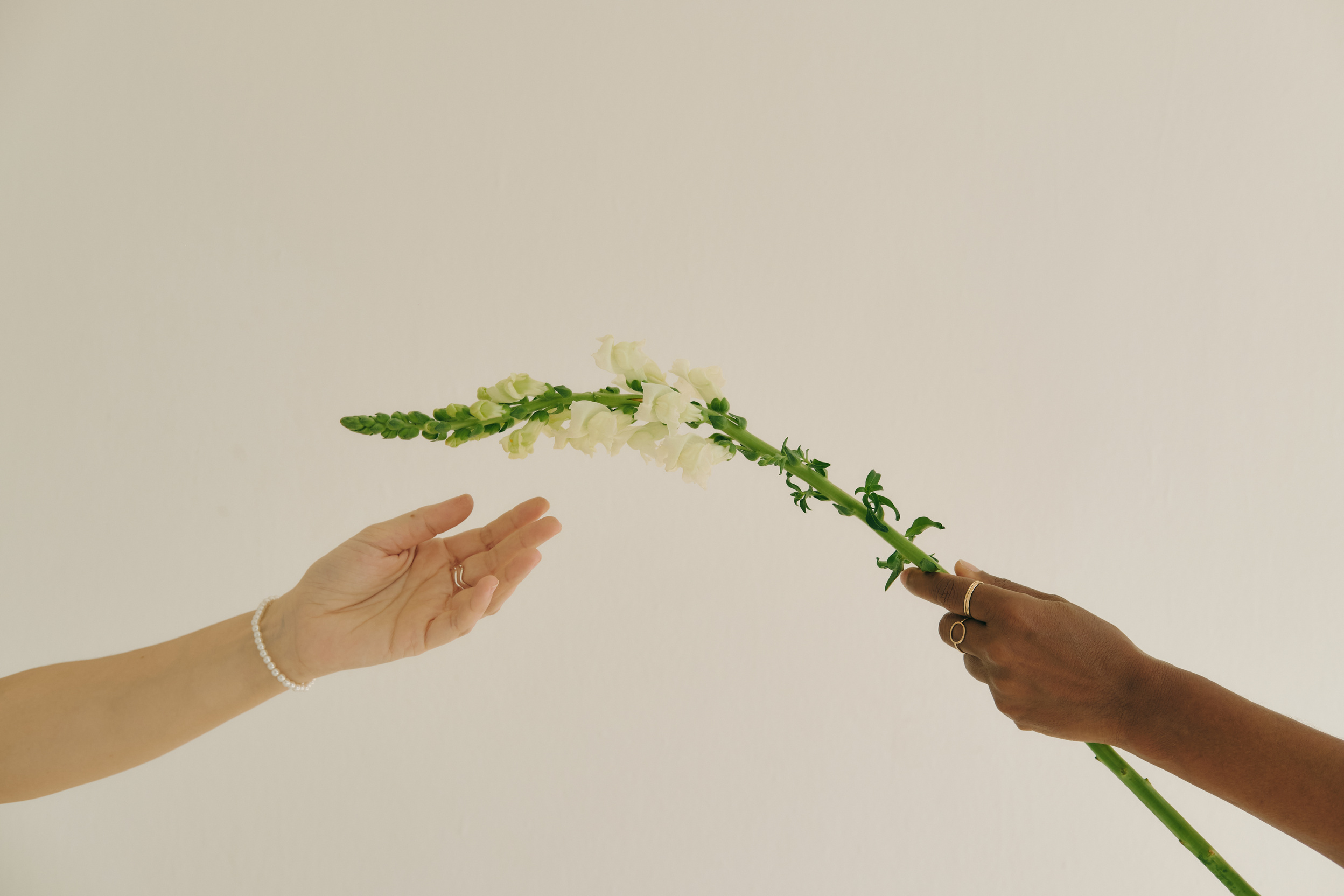 Mindfulness Practices Handing Flowers to Person
