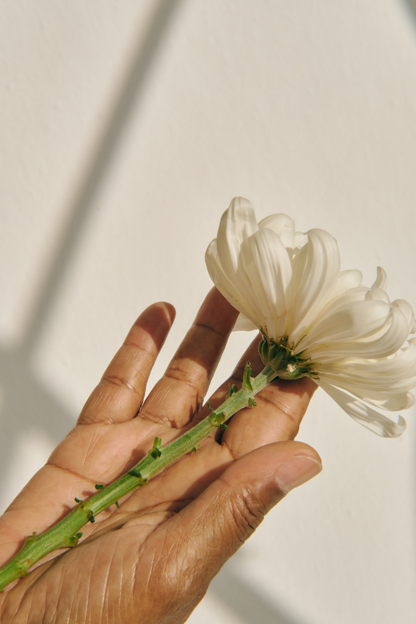 Mindfulness Practices Hand Holding Flower